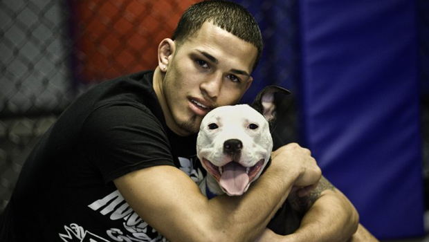 pettis