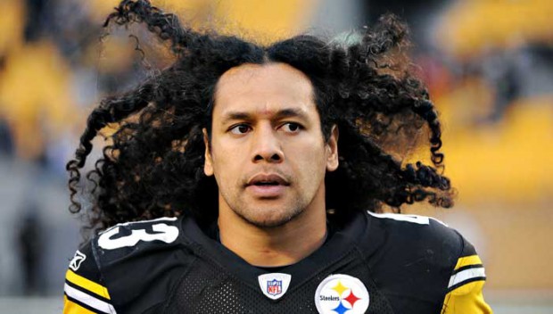 Troy-Polamalu