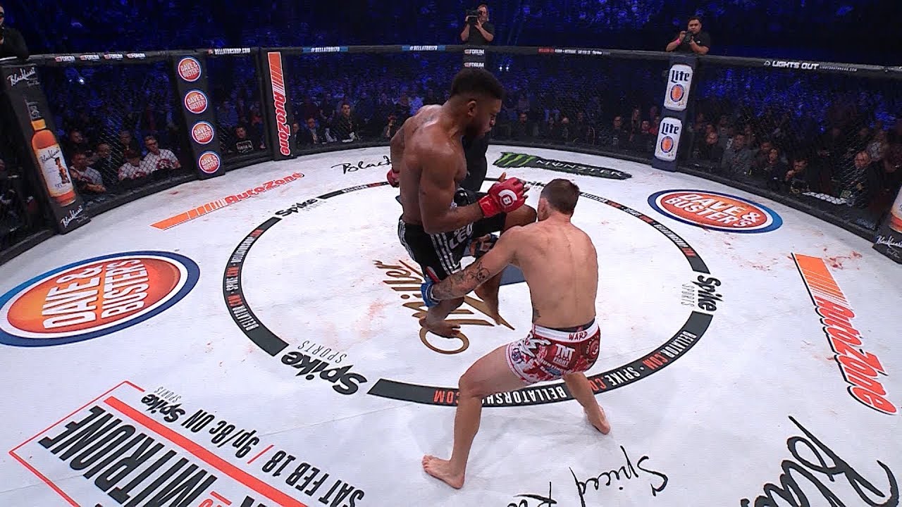 Bellator 216- Michael Venom Page & Paul Daley – Best Flying Knee Finishes