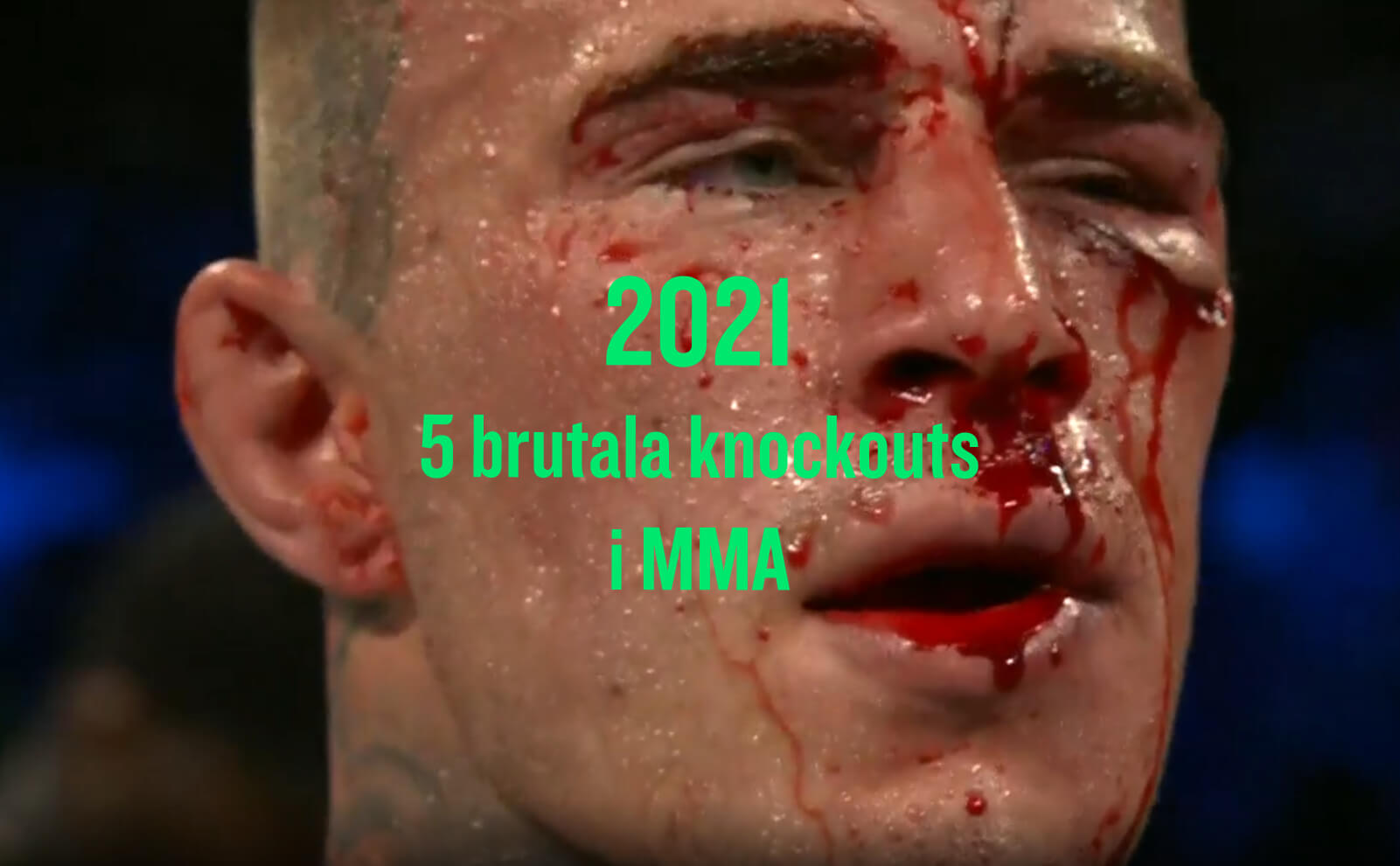 Brutala knockouts huvudbild