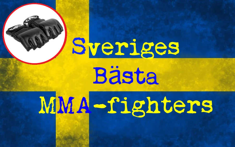 Bästa MMA-fighters Sverige huvudbild